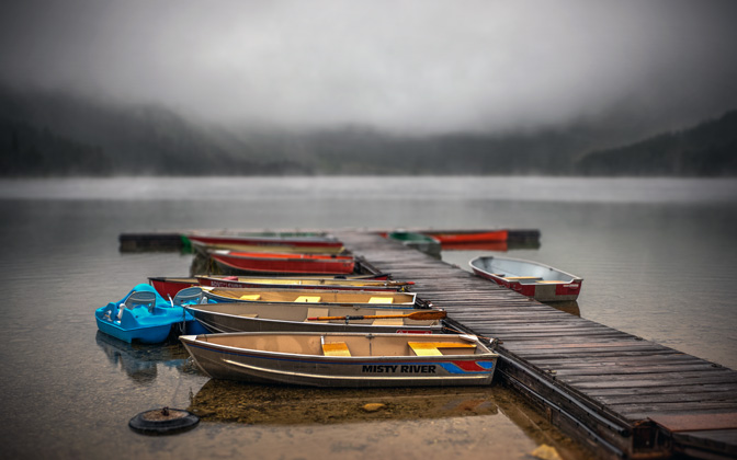cameronlake