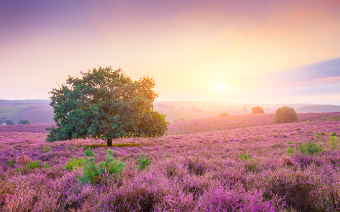 posbanksunrise