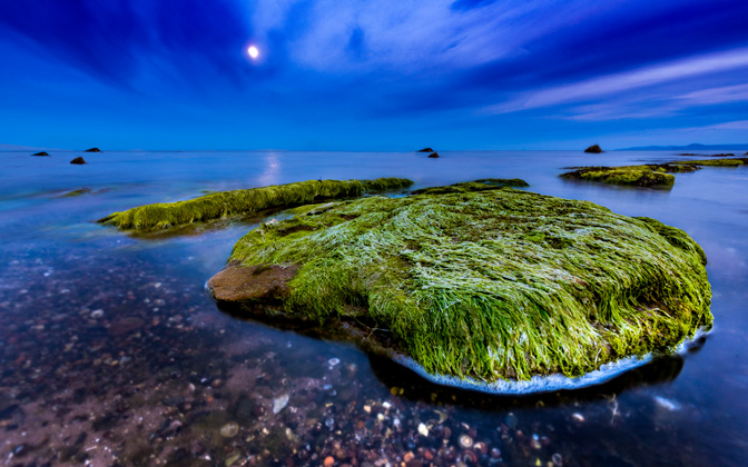 scottishbeach