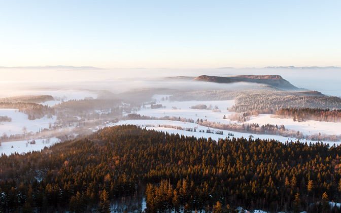 landofmists