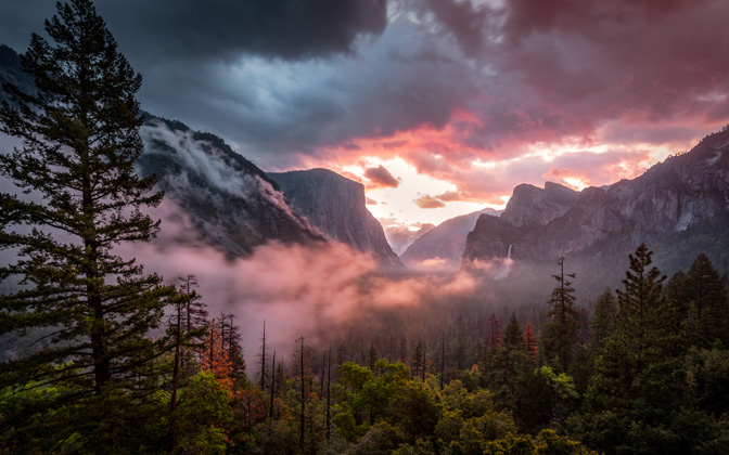 mistyyosemite