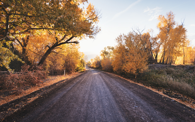 coloradobackroad