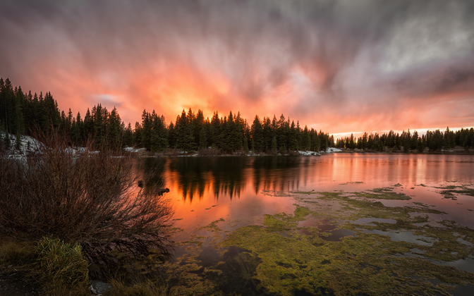 coloradoablaze