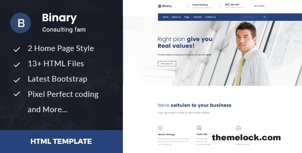 Binary - Business Consulting and Professional Services HTML Template