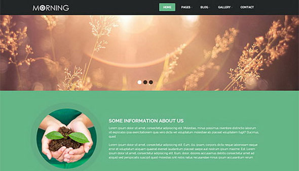 Morning – Creativemarket agriculture Theme