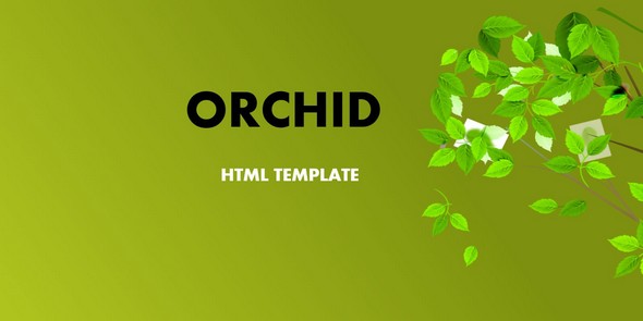 Orchid v1.0 - HTML Template