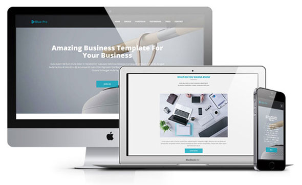 Blue Pro - One Page Website Template
