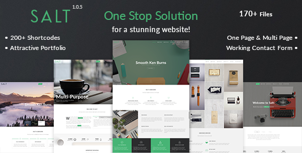 Salt v1.0.5 - Multi-purpose HTML5 Template