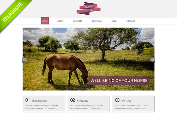 Horse Club - Flashmint Responsive Bootstrap Template