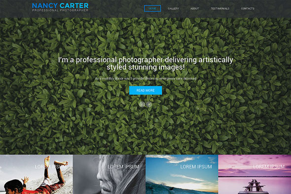 Nancy Carter - Creativemarket One Page Theme