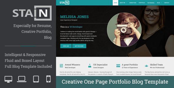 Stain - Creative One Page Portfolio Blog Template