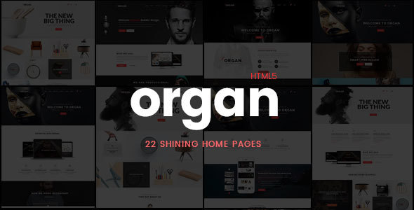 Organ - Creative Multi-Purpose Business, Finance HTML5