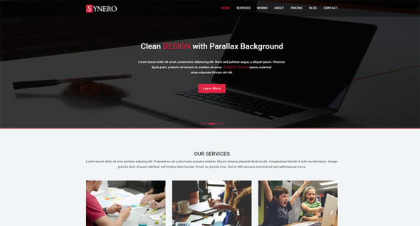 Synero - One page Multipurpose Theme