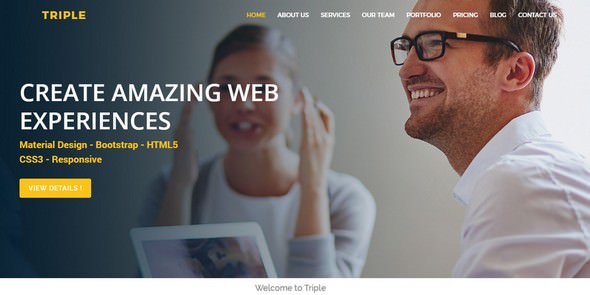 Triple v1.0 - Multipurpose HTML5 Template