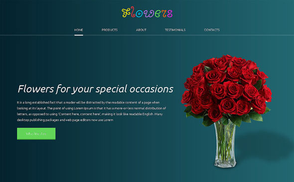 Flowers - Creativemarket Responsive One Page Theme