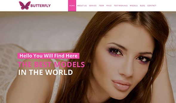 Butterfly – Creativemarket Model Agency Site Theme