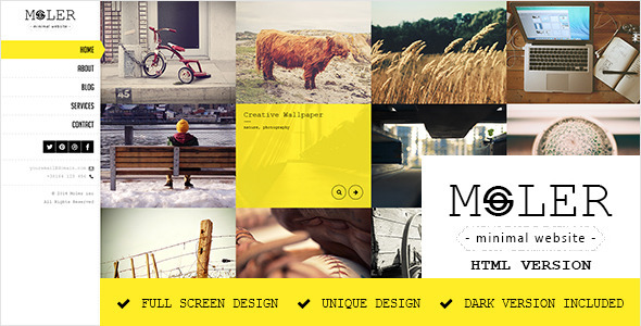 Moler - Full Screen Portfolio Template