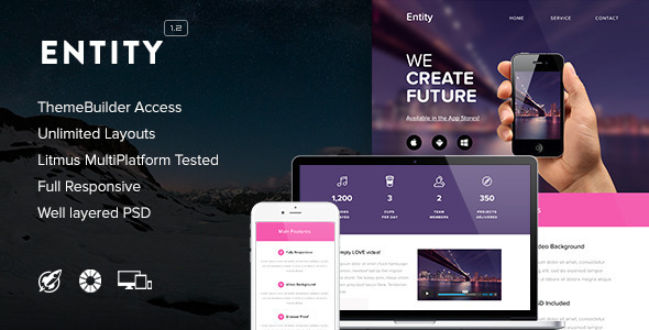 Entity v1.2 - Responsive Email + Themebuilder Access