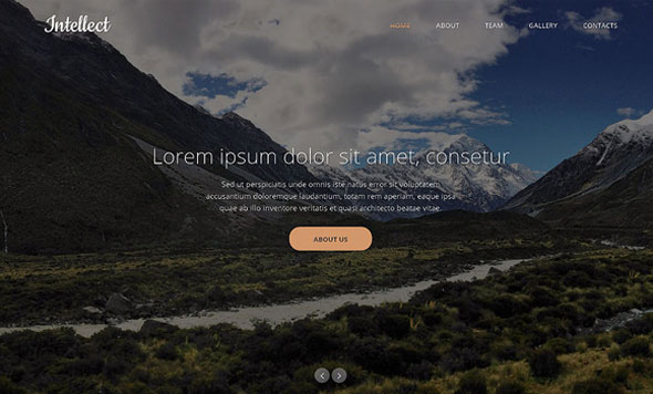 Intellect - Creativemarket Responsive One Page Theme