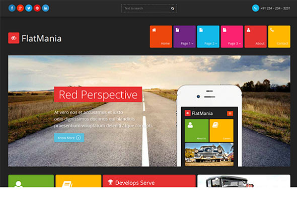 Flatmania - Unique Flat Theme