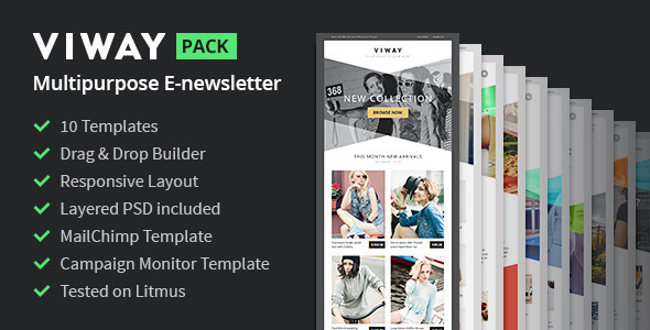 Viway Multipurpose Email Pack + Builder Access