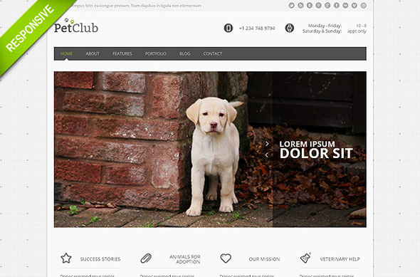 Animal - Flashmint Responsive Bootstrap HTML Theme