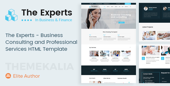 The Experts - Business Consulting and Professional Services HTML Template