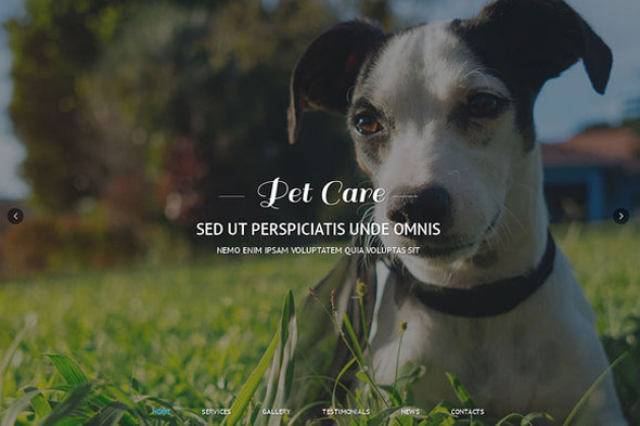 Pet Care - Creativemarket Responsive One Page Theme