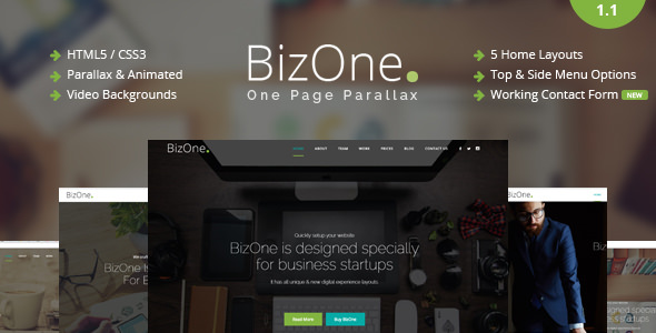 BizOne v1.1 - One Page Parallax