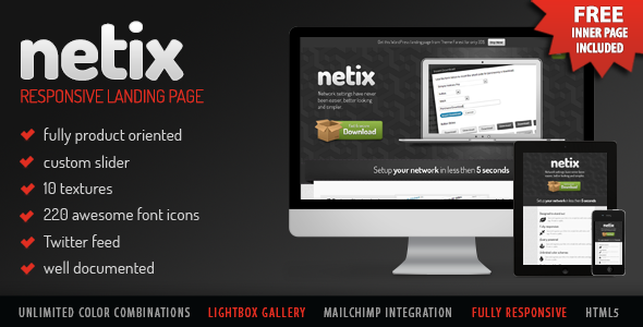 Netix - responsive landing page